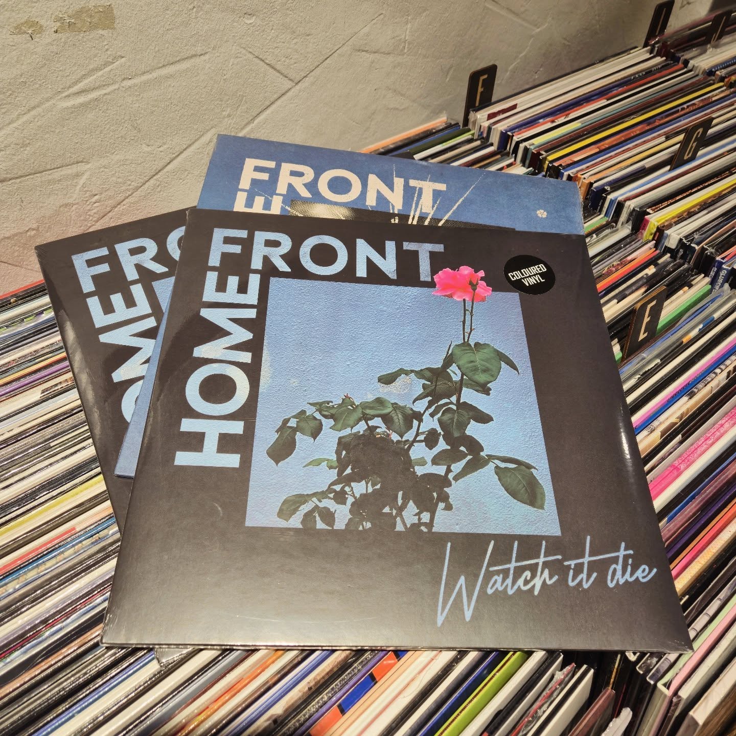 #homefront #watchitdie #gamesofpower 🎸🤩✨🔊#vinylora #vinyloradenda vinylcollection vinyljunkie vinylstore vinylrecords vinylcommunity vitoriagasteiz aldezaharra saveyourlocalrecordstore instavinyl