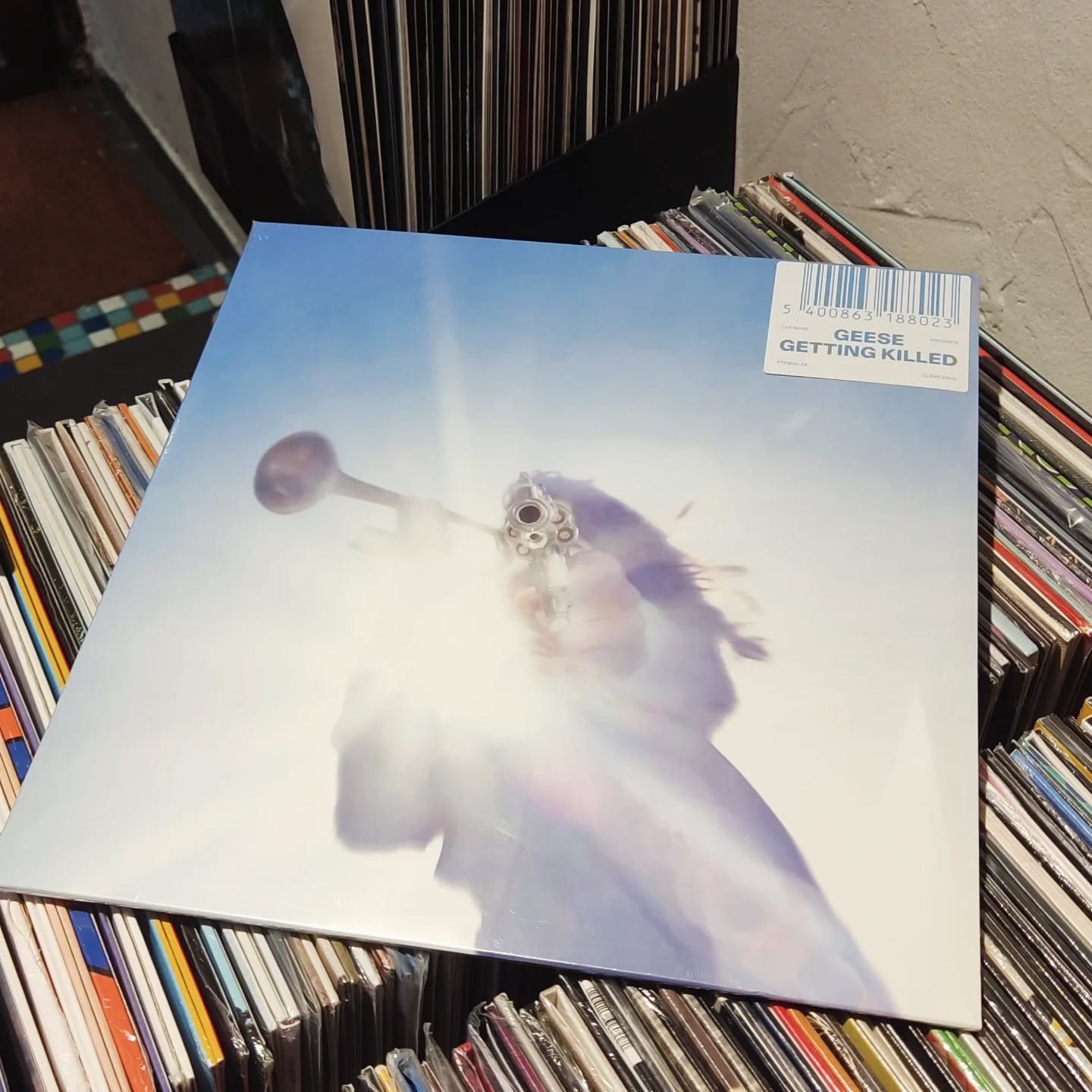 #geese #gettingkilled 🎸🔊🤩⚡
#vinylora #vinyloradenda #vinylcollection vinyljunkie vinylstore vinylrecords vinylcommunity vitoriagasteiz aldezaharra saveyourlocalrecordstore instavinyl