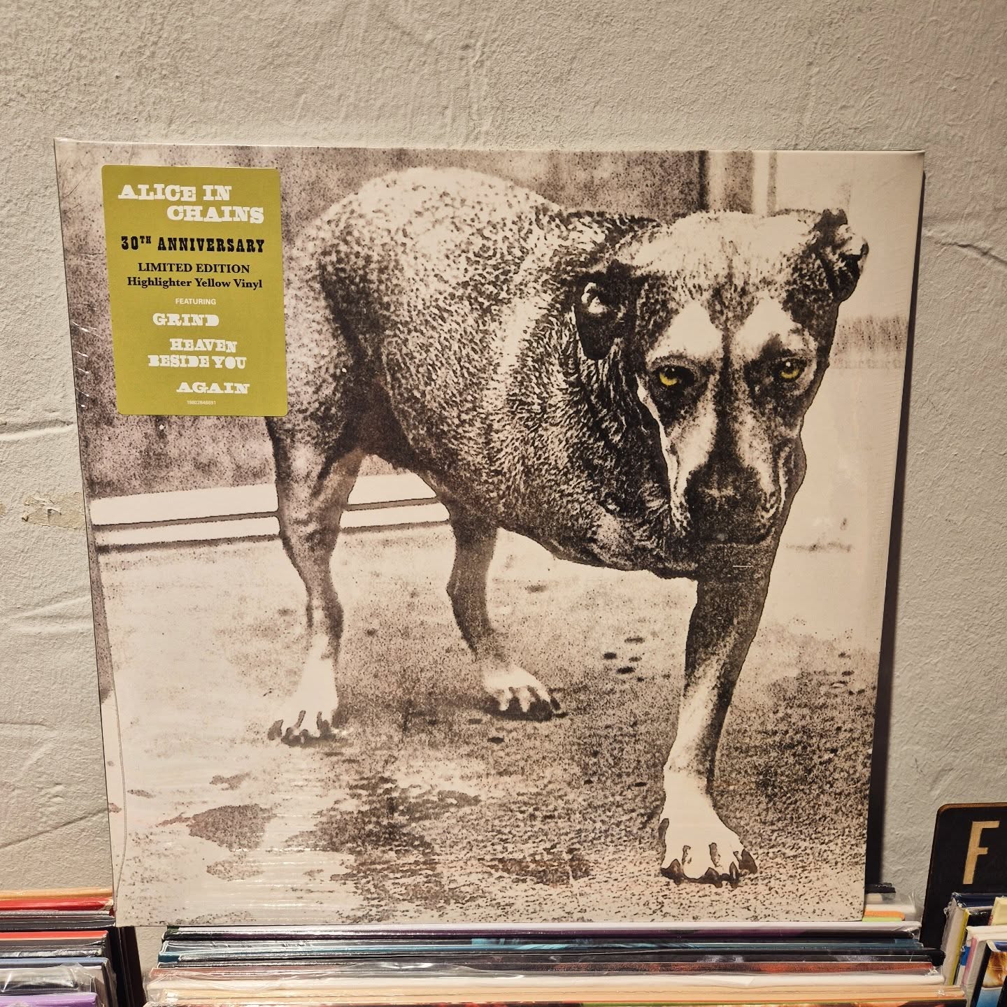 #aliceinchains 🌨️⚡🔊🍾
#vinylora #vinyloradenda #vinylcollection #vinyljunkie vinylstore vinylrecords vinylcommunity vitoriagasteiz aldezaharra saveyourlocalrecordstore 

www.vinylora.com