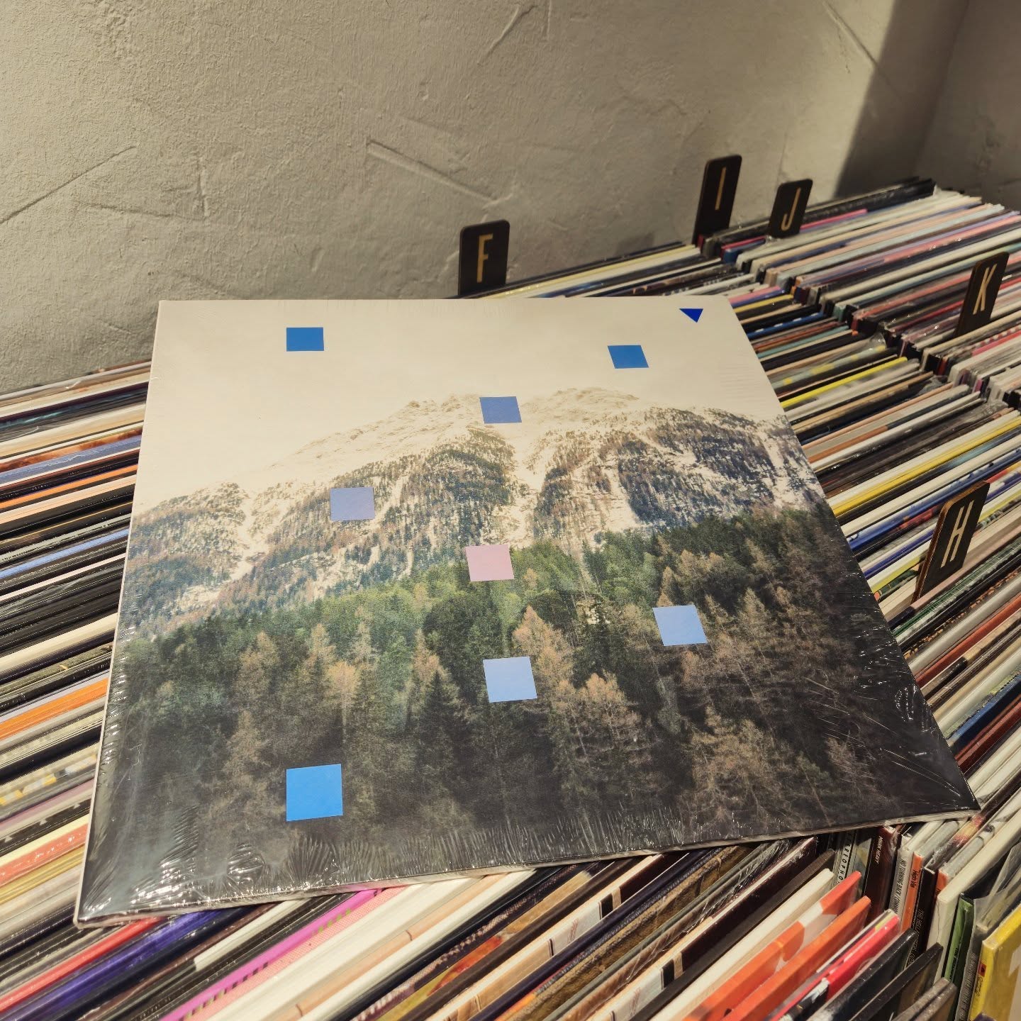 #vibora #eginezdugunguztia 🌨️📸⚡🔊
#vinylora #vinyloradenda #vinylcollection vinyljunkie vinylstore vinylrecords vinylcommunity vitoriagasteiz aldezaharra saveyourlocalrecordstore 

www.vinylora.com