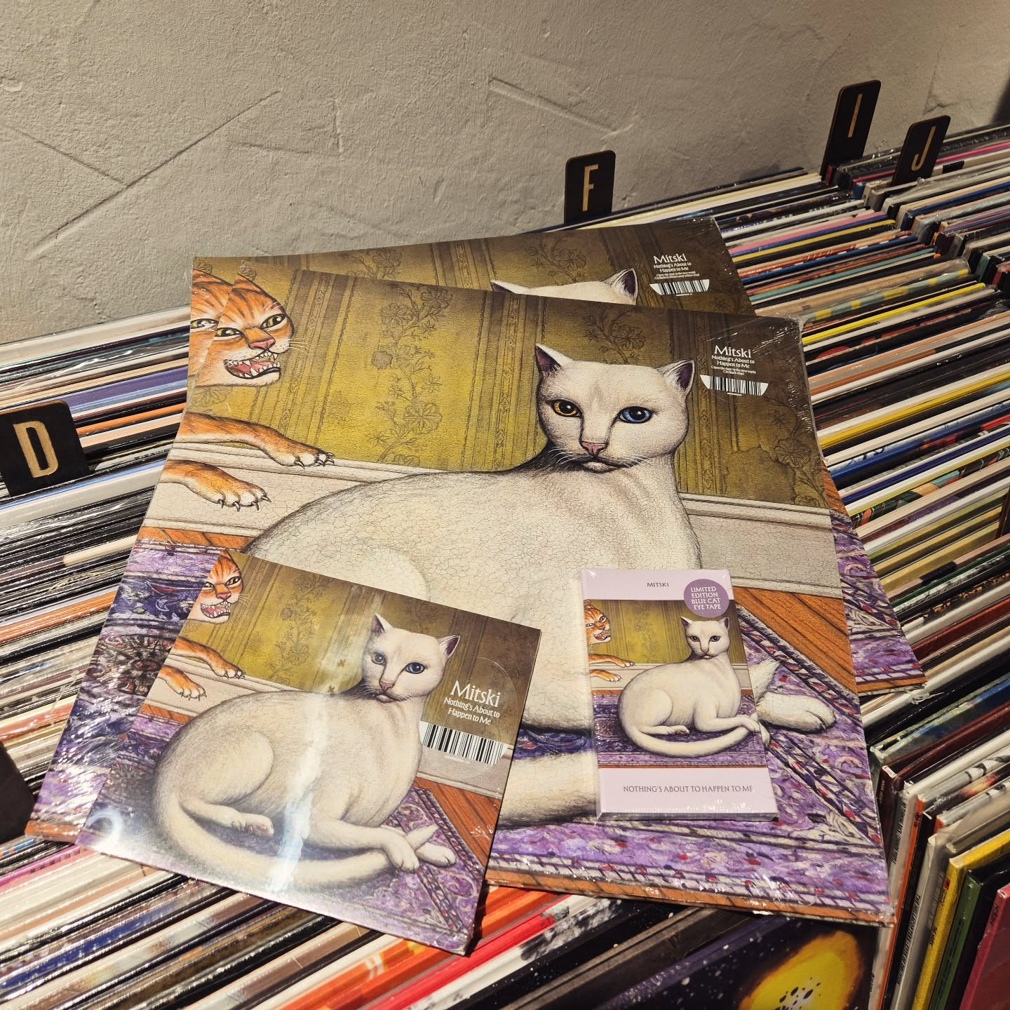 #mitski #nothingsabouttohappentome 🔊📸👀✨
#vinylora #vinyloradenda #vinylcollection vinyljunkie vinylstore vinylrecords vinylcommunity vitoriagasteiz aldezaharra saveyourlocalrecordstore 

https://vinylora.com/tienda/656605175010/